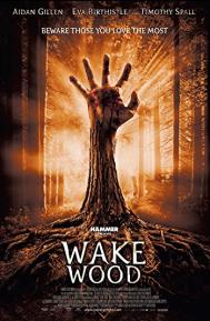 Wake Wood poster